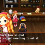 Inilah Cara Kerja Part Time Di Harvest Moon Hero Of Leaf Valley Terpecaya