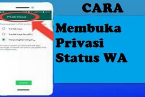 Terbongkar! Cara Wa Gb Anti Privasi Status Terpecaya