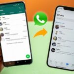 Penting! Cara Restore Whatsapp Dari Android Ke Iphone Wajib Kamu Ketahui