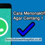 Penting! Cara Agar Whatsapp Centang Satu Tanpa Mematikan Data Terpecaya