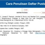 Inilah Cara Daftar Jadi Penulis Freelance Wajib Kamu Ketahui