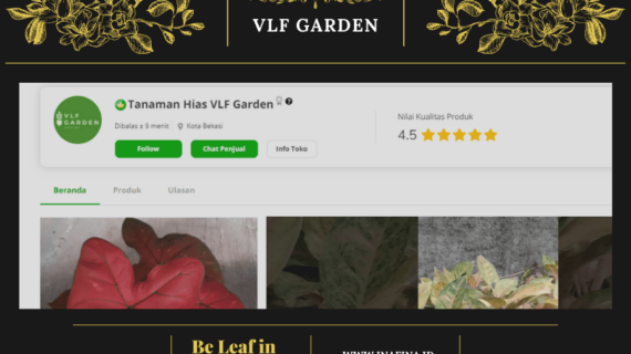 Hebat! Cara Jual Tanaman Hias Online Terpecaya