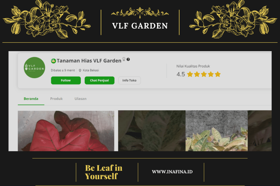 Cara Beli Tanaman Hias Online