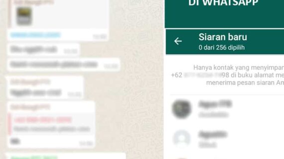 Wow! Cara Buat Broadcast Di Whatsapp Business Terpecaya