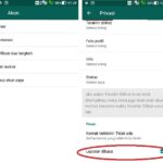 Terungkap Tutorial Whatsapp Offline Padahal Online Terpecaya