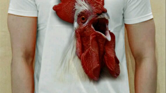 Hebat! Desain Kaos Gambar Ayam Jago Terpecaya