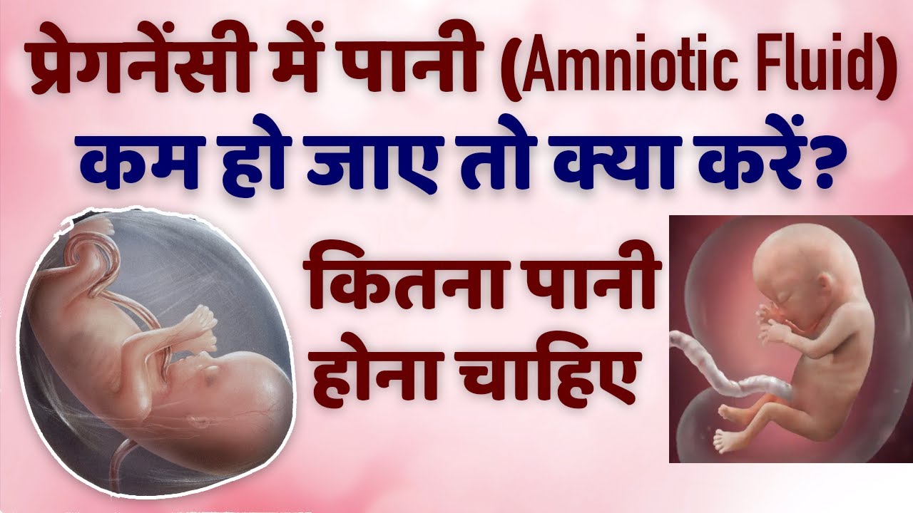 Gambar ilustrasi kehamilan