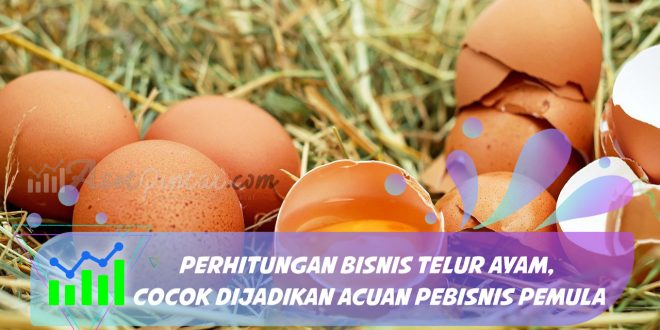 Perhitungan Bisnis Telur Ayam, Cocok Dijadikan Acuan untuk Pebisnis