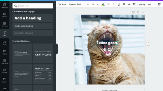 Wow! Cara Membuat Gambar Ai Di Canva Wajib Kamu Ketahui