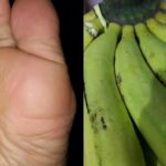 Hebat! Cara Memperbaiki Kualitas Video Yang Pecah Wajib Kamu Ketahui