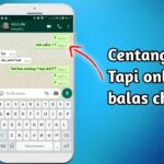 Hebat! Cara Whatsapp Tetap Centang 1 Tapi Online Wajib Kamu Ketahui