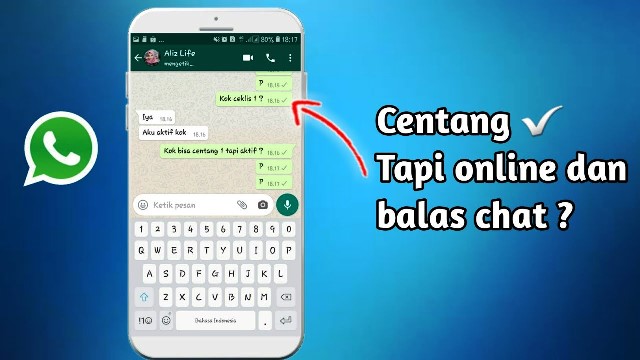 Ceklis Satu pada WhatsApp