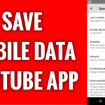 Simak! Youtube Download With Mobile Data Terbaik
