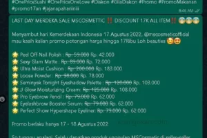 Wow! Jualan Contoh Kata-kata Promosi Lewat Whatsapp Terpecaya