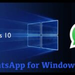 Terungkap Whatsapp Business Download For Pc Windows 10 64 Bit Terbaik